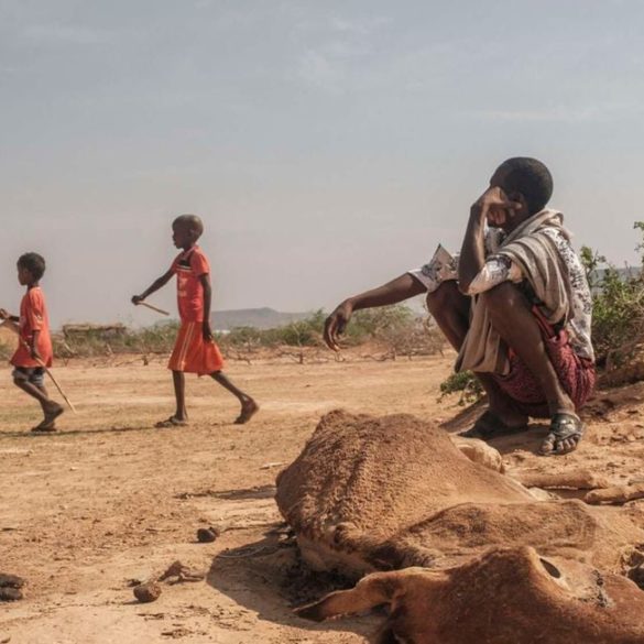 Children walk past a man sitting next to the carcass of a dead cow in Hargududo, Ethiopia on April 7, 2022 amid a biting drought. PHOTO | EDUARDO SOTERAS | AFP