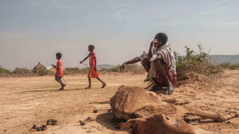 Children walk past a man sitting next to the carcass of a dead cow in Hargududo, Ethiopia on April 7, 2022 amid a biting drought. PHOTO | EDUARDO SOTERAS | AFP
