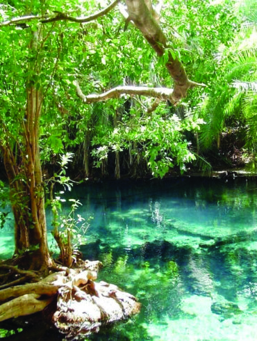 Chemka Hot Springs also known as Kikuletwa or Maji Moto in Hai District
